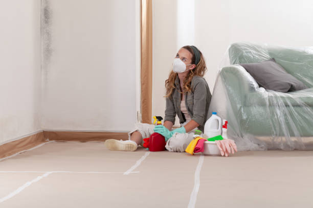 Reliable Mold Testing contractor in Ronkonkoma, NY by WQB Mold Removal